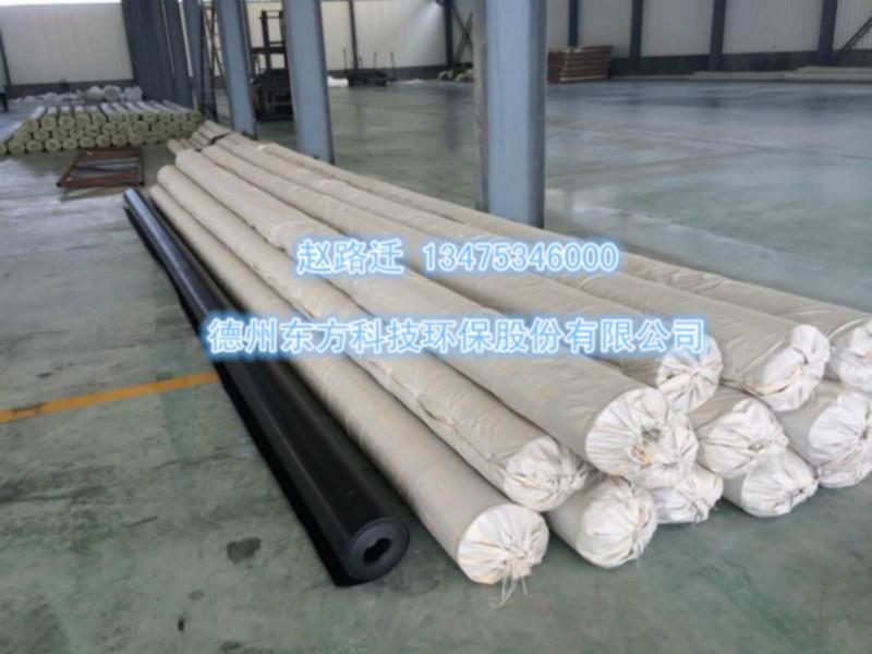 供應(yīng)德州糙面HDPE土工膜報價多少，德州糙面HDPE土工膜報價*