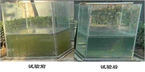 供應(yīng)邦源環(huán)保黑臭河道治理技術(shù)