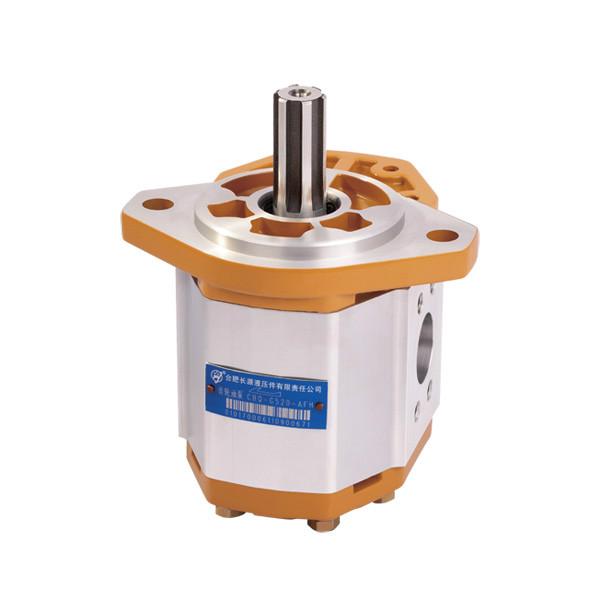 供應(yīng)合肥長源CBQ-5長源液壓齒輪泵