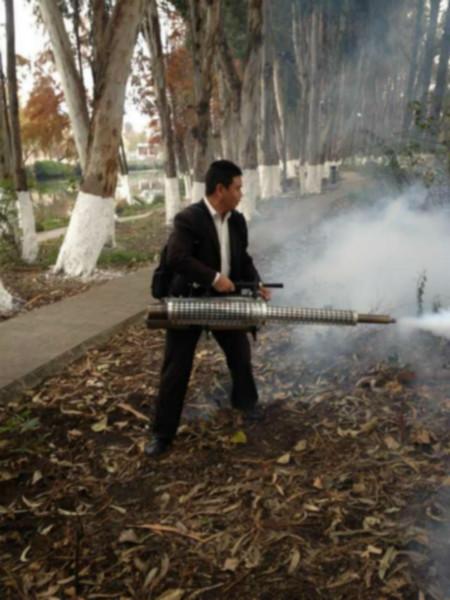 供应昆明呈贡新区灭鼠公司服务价格多少，昆明呈贡新区灭鼠服务热线，昆明呈贡新区灭鼠公司