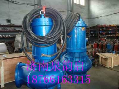 供應(yīng)RQW系列*耐磨潛水排污泵