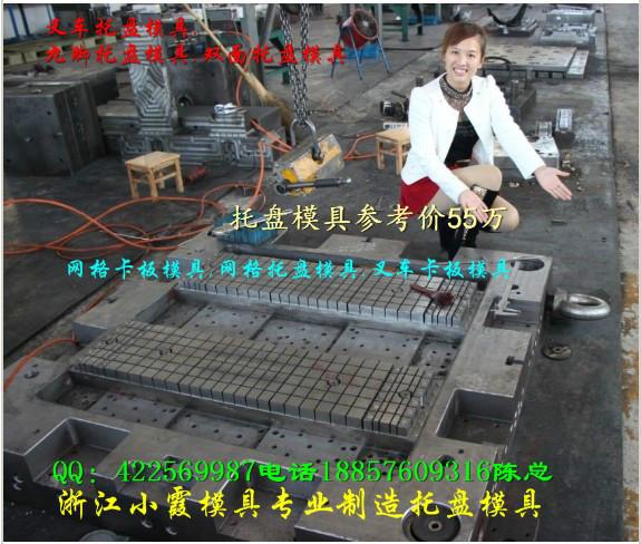 供應(yīng)臺州雙面塑料棧板模具