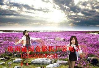 供應(yīng)衡水全景快樂拍多少錢/鑫園廠家批發(fā)