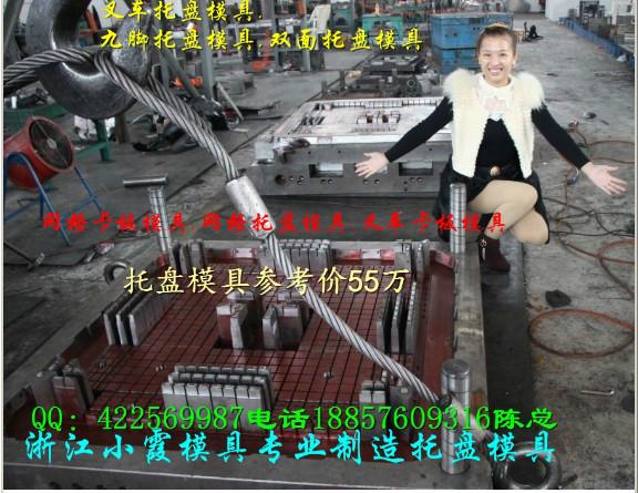 供應(yīng)小型塑膠棧板模具