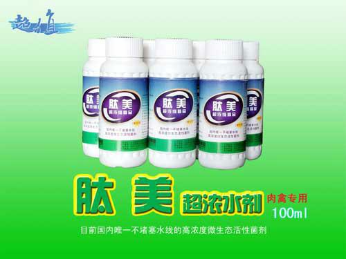 供應肉禽*菌肉雞肉鴨益生菌首先生產(chǎn)廠家山東微爾，*高效率