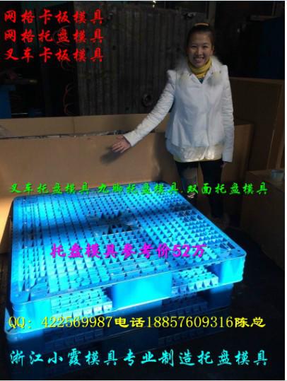 供應(yīng)小霞模具塑料網(wǎng)格托盤模具