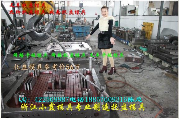 托盤模具圖片/托盤模具樣板圖 (2)