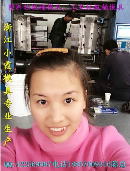 供應(yīng)環(huán)衛(wèi)桶模具2016模具價格