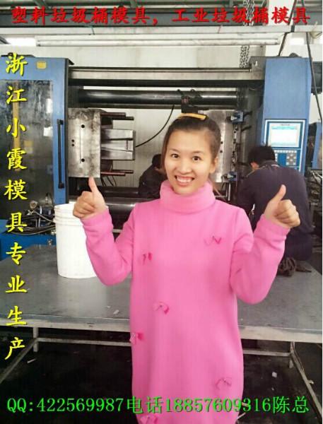 供應(yīng)塑料模塑膠垃圾桶模具