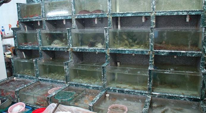 供應(yīng)海鮮魚池定做海鮮魚池設(shè)計過濾系統(tǒng)