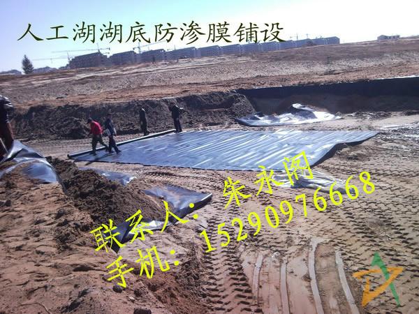 供應(yīng)蓮菜池水產(chǎn)養(yǎng)殖*膜