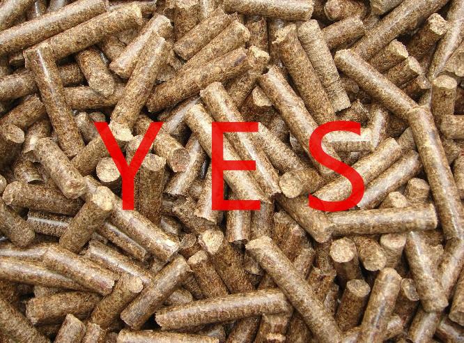 供應(yīng)西藏木屑顆粒機(jī)