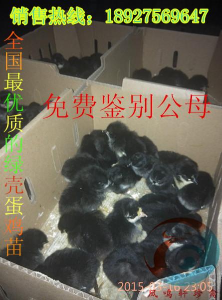 供應(yīng)畢節(jié)*苗