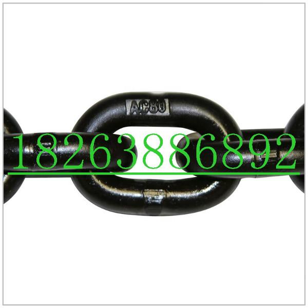 牛糞清理機用鏈條羊糞清理機用鏈條圖片/牛糞清理機用鏈條羊糞清理機用鏈條樣板圖 (4)