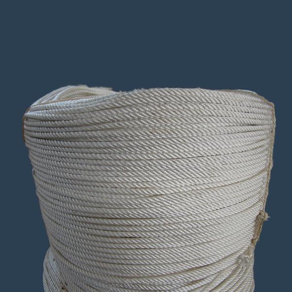 供應(yīng)河北廠家環(huán)保項(xiàng)目配套10mm尼龍繩