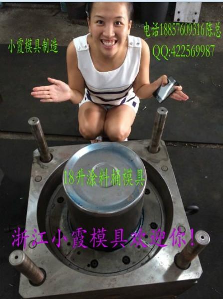 供應(yīng)臺州注射模具5L涂料桶塑膠模具