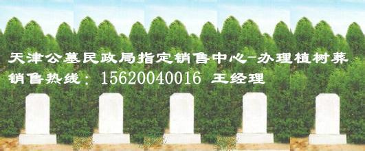 供應(yīng)天津植樹葬公墓