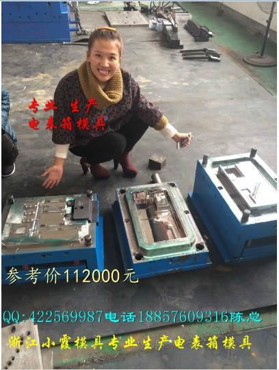 供應(yīng)PC塑料電表箱模具制造生產(chǎn)