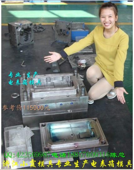 塑膠模具圖片/塑膠模具樣板圖 (3)