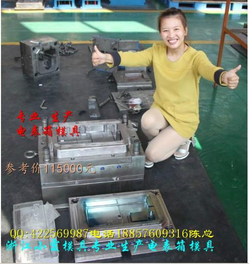 電表箱塑料模具圖片/電表箱塑料模具樣板圖 (2)