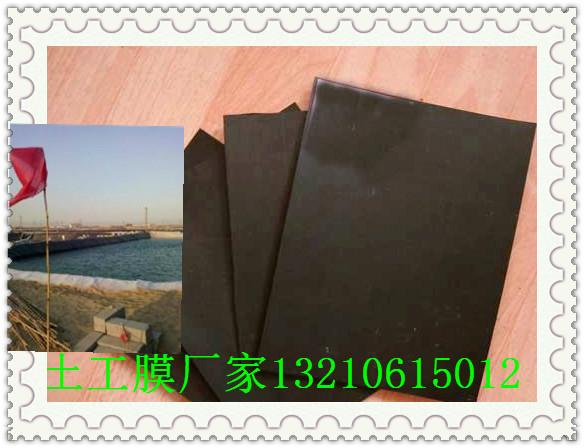 山東魚池防滲土工膜圖片