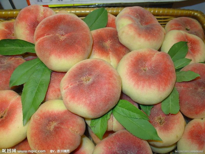 供應(yīng)早熟毛蟠桃55以上的蟠桃價(jià)格-順利果品專(zhuān)業(yè)合作社