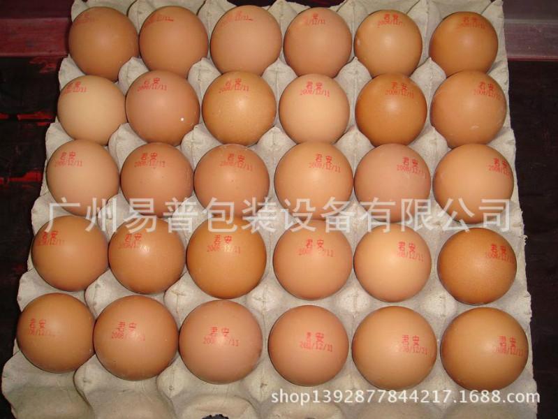 供應益普EPJDPM型伺服驅(qū)動步進式雞蛋噴碼裝置