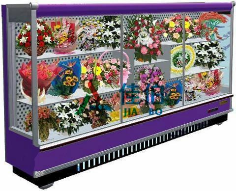 蘇鮮花圖片/蘇鮮花樣板圖 (3)