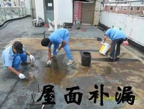 供应金属屋面防水防锈补漏翻新惠州防水工程补漏工程惠州金属屋面防水图片