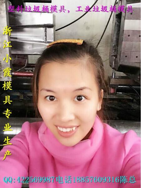 中國注塑模具塑料工業(yè)垃圾桶模具圖片