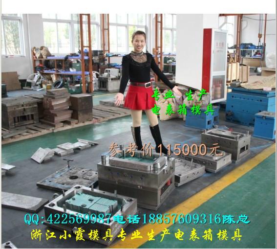 臺州注塑模具圖片/臺州注塑模具樣板圖 (2)