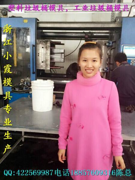 小型垃圾桶塑料模具60L環(huán)衛(wèi)桶模具圖片/小型垃圾桶塑料模具60L環(huán)衛(wèi)桶模具樣板圖 (2)