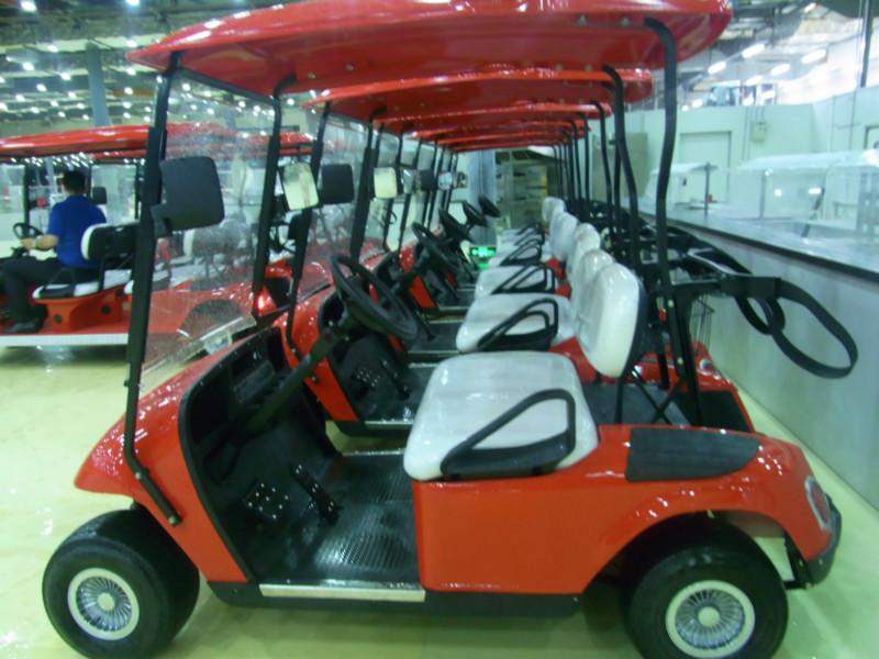 2座高爾夫球車  公園觀光車