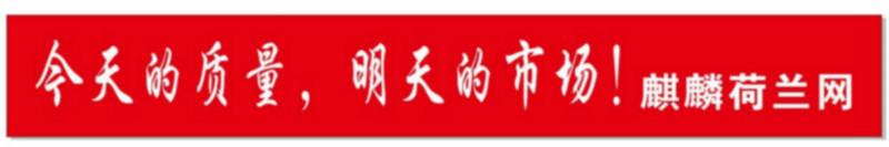 電焊網鐵絲網圖片/電焊網鐵絲網樣板圖 (4)