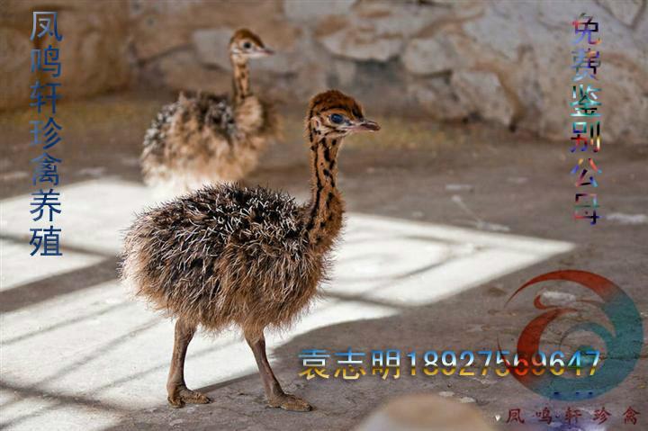 供應(yīng)麗水*