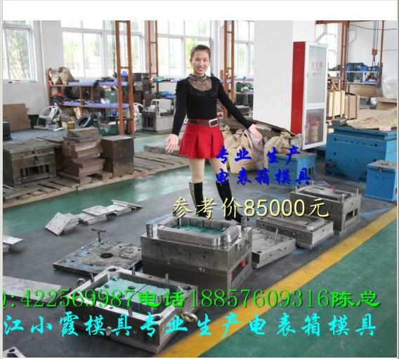 供應(yīng)塑膠電表箱模具制造加工