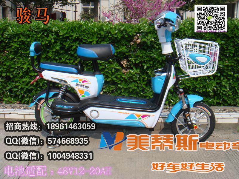 駿馬圖片