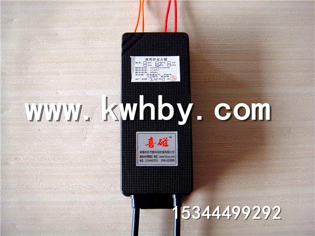 供應生物醇油延時電子脈沖點火器,,電子點火裝備