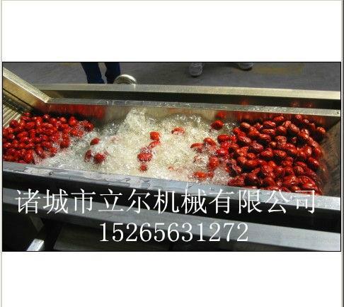 棗類(lèi)清洗機(jī)圖片
