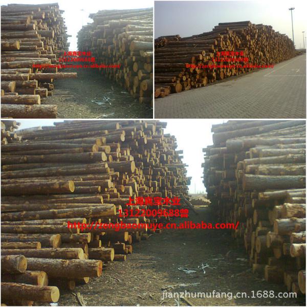 供應用于建筑工地支模的花旗松工地木材加工廠