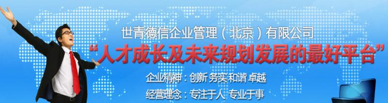 供应深圳世青德信网站建设应