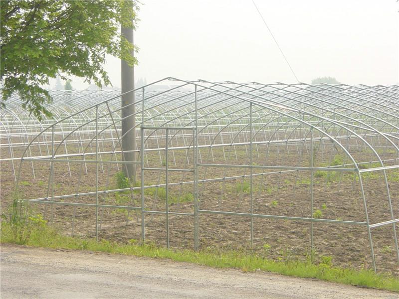 供应优质瓜果大棚菌类大棚塑料大棚