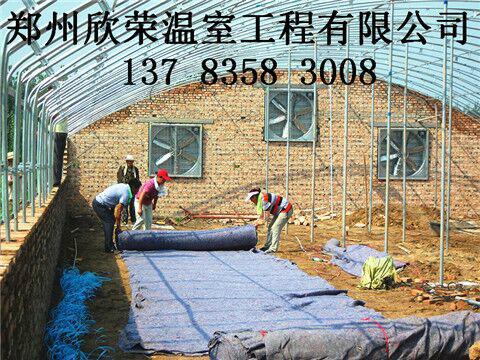 供应养殖大棚建造技术食用菌大棚建造图片