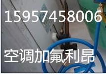 北侖小港圖片/北侖小港樣板圖 (4)