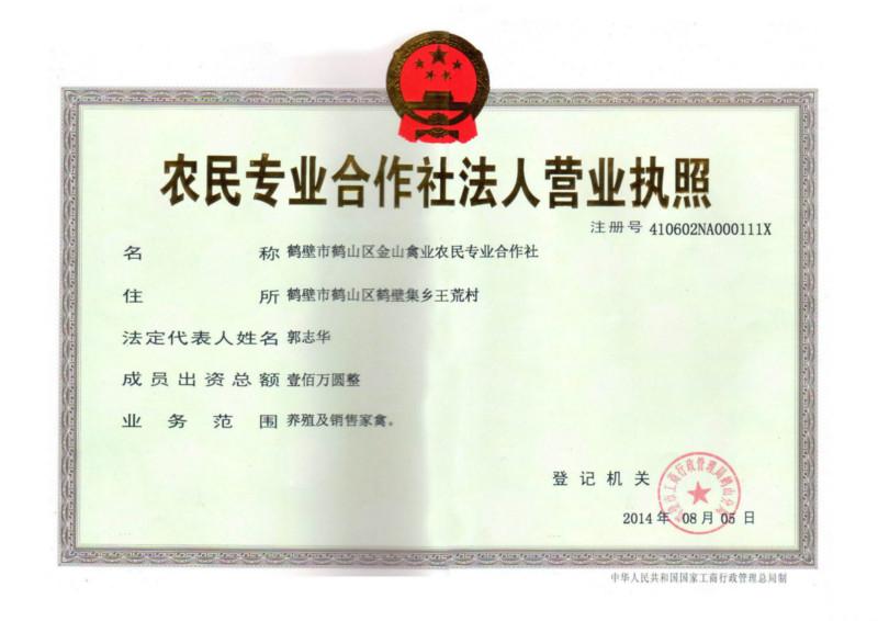 供應金山青年雞養(yǎng)殖場/優(yōu)質青年雞