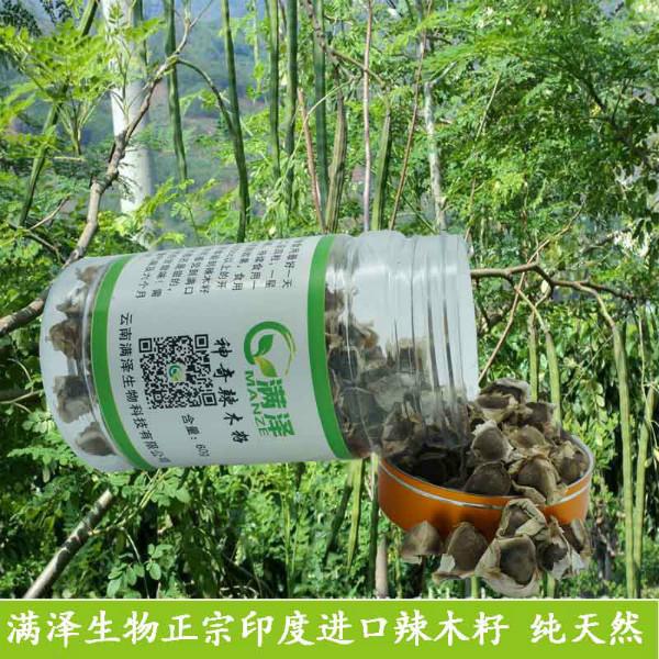 供應(yīng)辣木籽怎么種，辣木籽怎么種植技術(shù)，辣木籽怎么種植方法