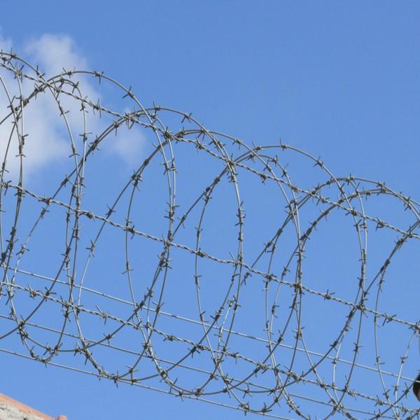 刺繩鍍鋅刺繩圖片/刺繩鍍鋅刺繩樣板圖 (3)