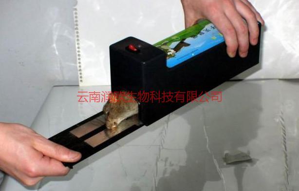 昆明官渡區(qū)寫字樓殺蟲滅鼠圖片