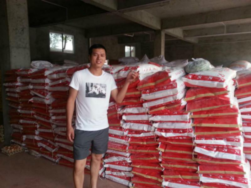 供應(yīng)10%哺乳母豬濃縮料益母王 豬飼料