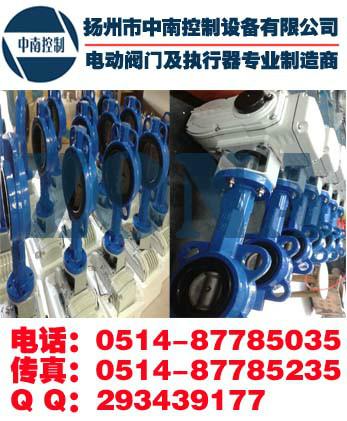 中南精小型電動蝶閥D971X-10DN50圖片